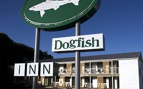 Dogfish Inn Lewes
